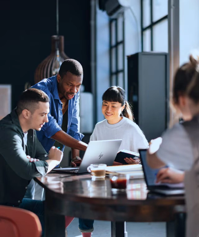 Şirket lisanslama ve yasal süreç yönetimi