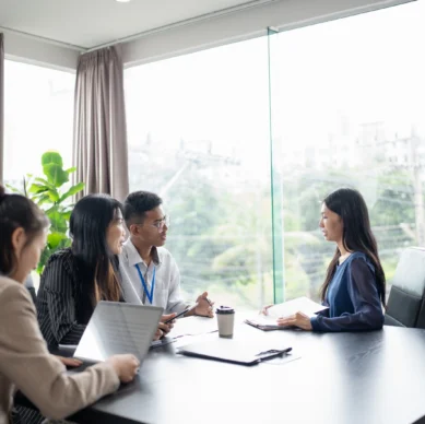 Şirket lisanslama ve yasal süreç yönetimi